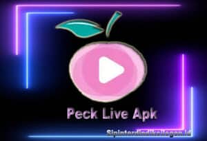 peck live apk
