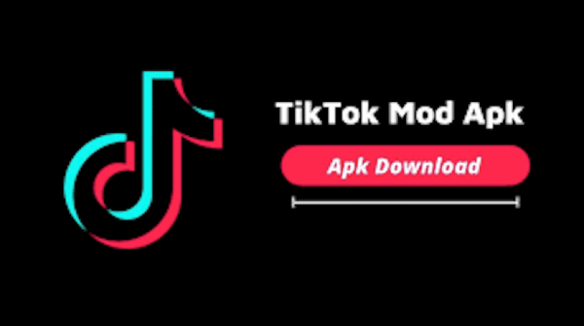 TikTok No Watermark Apk 1 