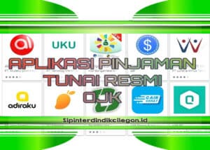Aplikasi Pinjaman Online OJK